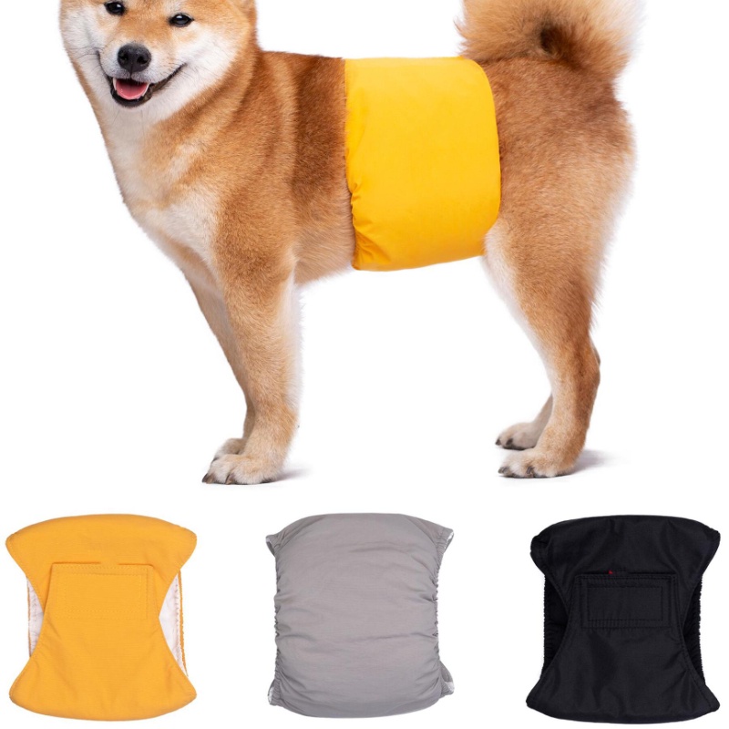 Roupa Íntima Masculina/Calça Fisiológica Impermeável Lavável Para Animais De Estimação/Cachorros/Filhotes