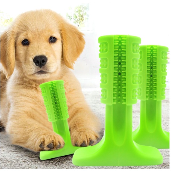 Mordedor Brinquedo Escova de Dente Cachorro Dog Pet
