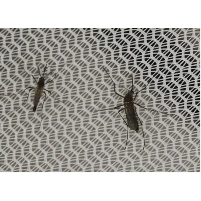 Tecido Mosquiteiro / Tela Mosquiteiro Proteção - 1 Metro