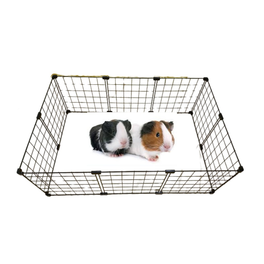 Cercadinho Para Porquinho Da Índia Em Tela Aramada