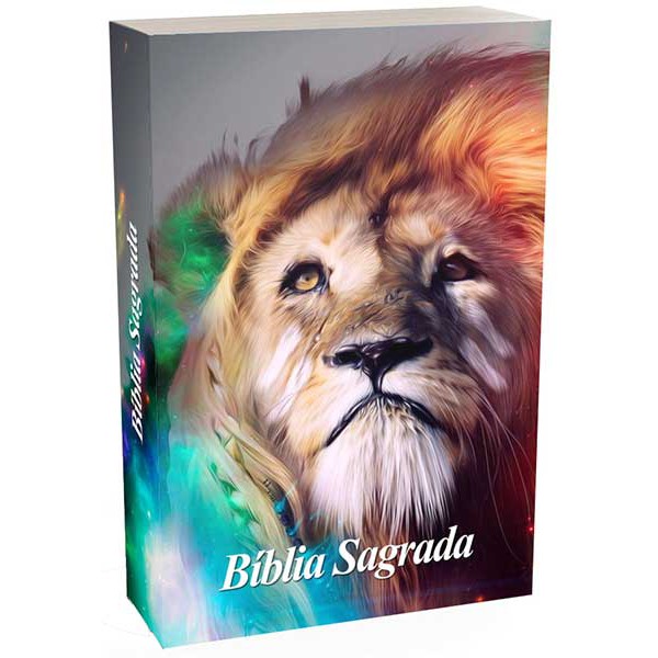 Bíblias Personalizadas para Jovens: Onde Comprar | BuscaProdutos