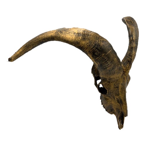 Caveira Cranio Bode Carcaça Baphomet Wicca Ritual Resina