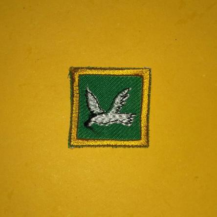 Aprimoramento Masculino TKK-Manutenção DOVE