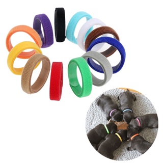 Conjunto De 12 Peças/Lote De Animais De Estimação Marcação Cão Coleira E Gato Pode Ajustar Colar Para Gatos Pequenos Filhotes em Oferta na Shopee