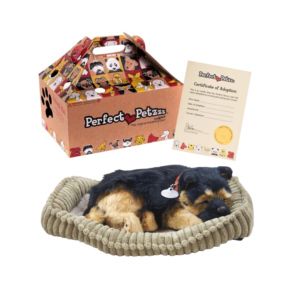 Pastor Alemão Filhote: Onde Comprar | BuscaProdutos