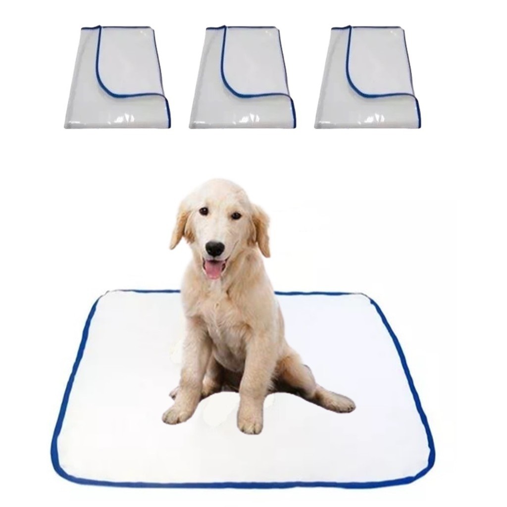 Tapete higiênico lavável P, tamanho 50 x 60 cm, 01 unidade, reutilizável cachorro dog