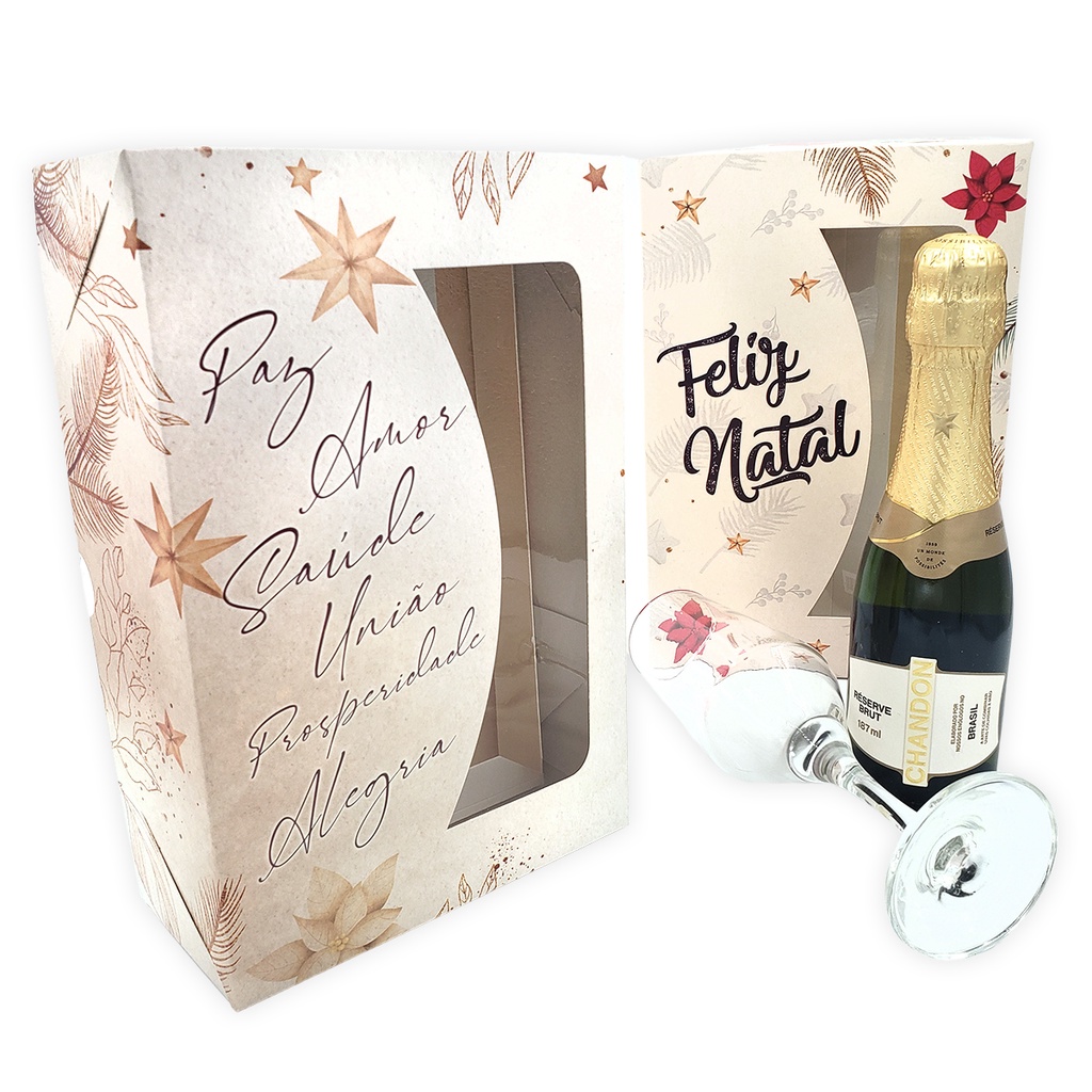 10 Caixas  Para Longneck , mini vinhos etc. Especial Natal