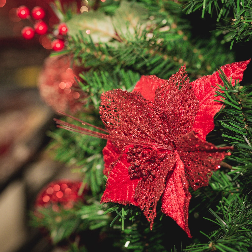 Flor De Natal Enfeite de Natal Árvore Guirlanda Bico de Papagaio Vermelha  Aveludada Renda 25cm | Shopee Brasil