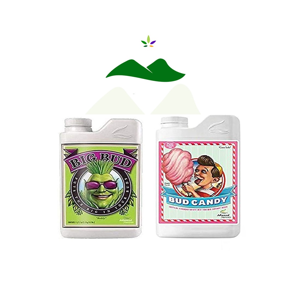 Fertilizante Big Bud + Bud candy 2x100ml