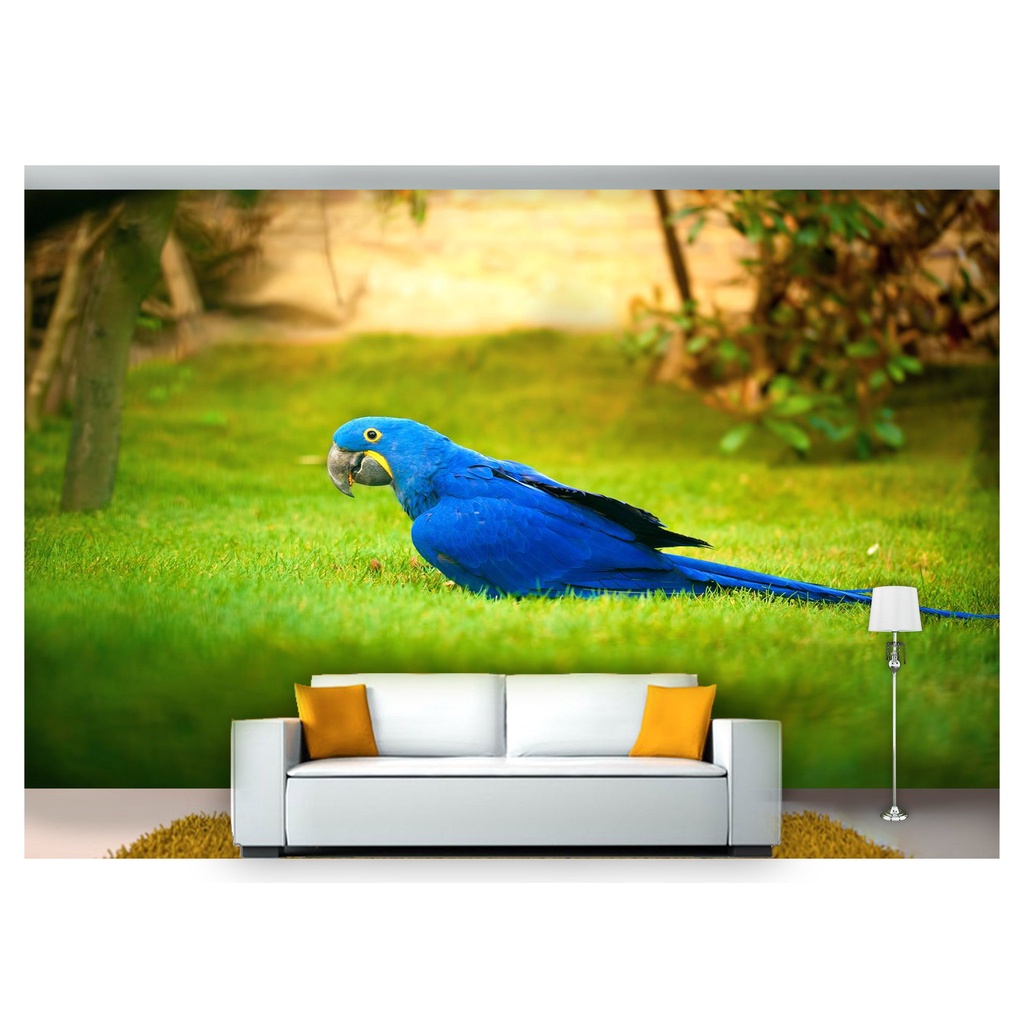 papel de parede Animais Arara azul grama 3D 6m² ANM126