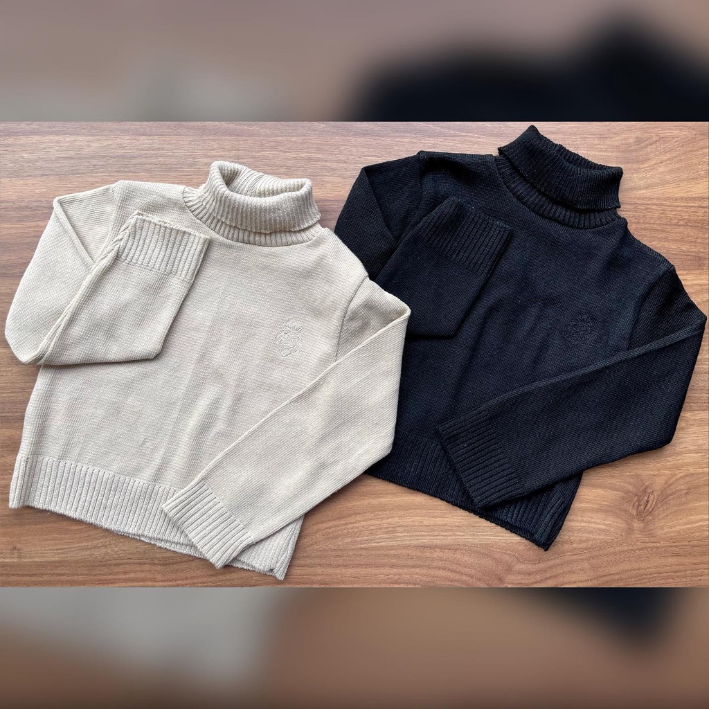 Roupa Menino Infantil Suéter de Lã Gola Alta Preto ou Bege