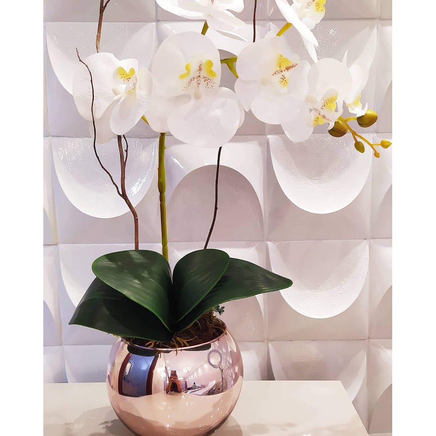Arranjo de Orquídea Branca em Vaso Rose 15 cm | Shopee Brasil