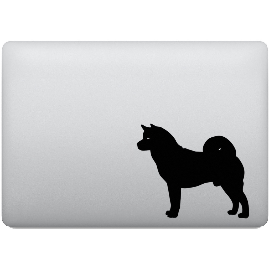 Akita Raça de Cachorro: Onde Comprar | BuscaProdutos