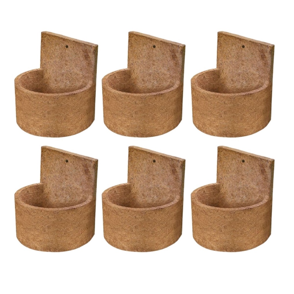 Kit 6 Vaso de Parede Xaxim De Fibra de Coco Jardineira Nutricoco Pequeno - Nutriplan