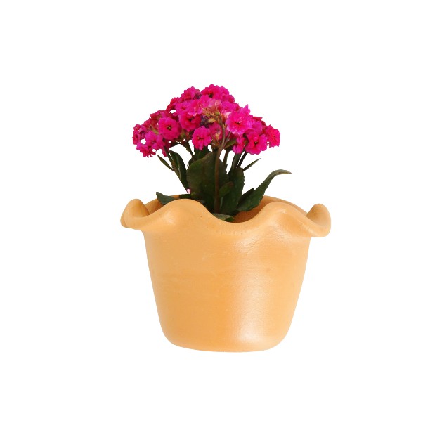 Vaso De Barro Parede Jardim Vertical Para Flores Decorativo Grande Floreira
