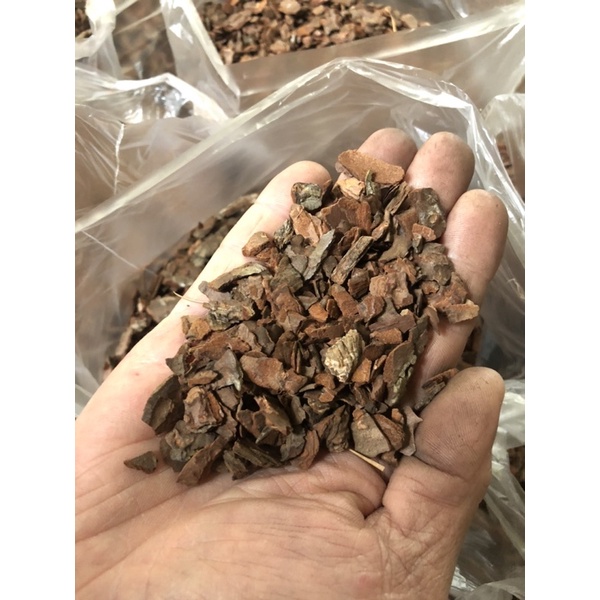 5 litros=1kg Casca de pinus pequeno para plantio de orquídeas, plantas diversas e decoração.