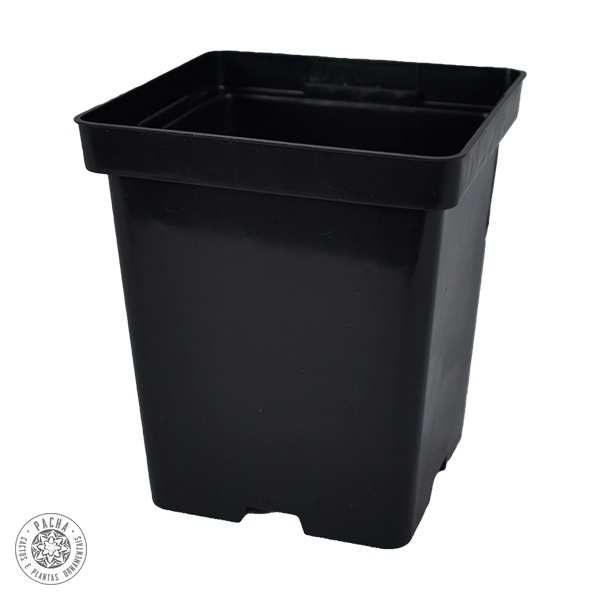 30 Vasos quadrado pote 12 para coleção cactos e suculentas