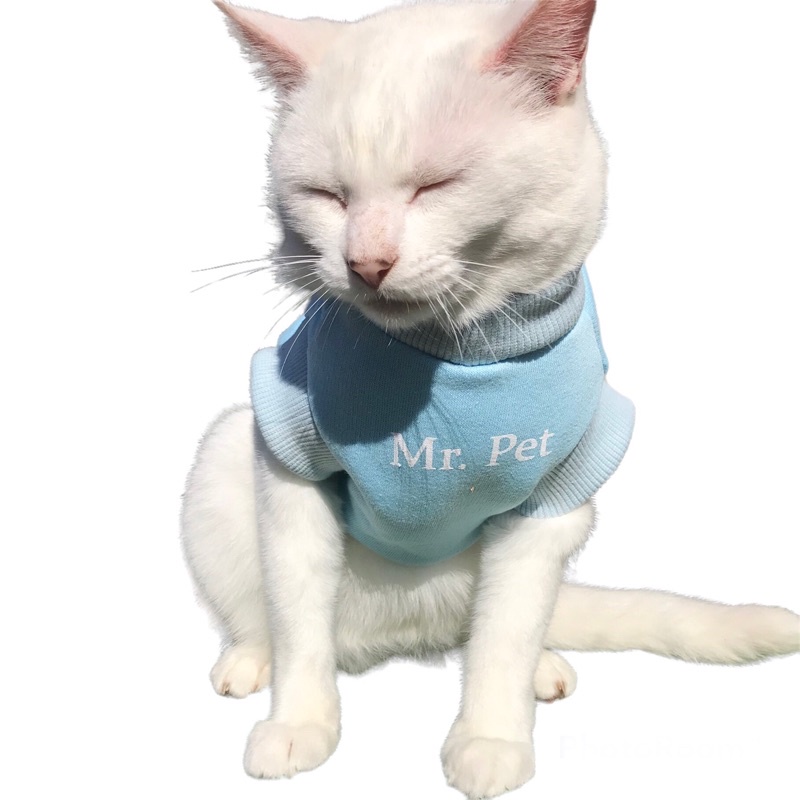 Moletom Colete Algodão Pet Cores Roupa Roupinha Pet Azul Bebê Mr Pet Cachorro Gato Shitzu Spitz Golden Retriever — R$ 42,30 em Shopee, 10% OFF