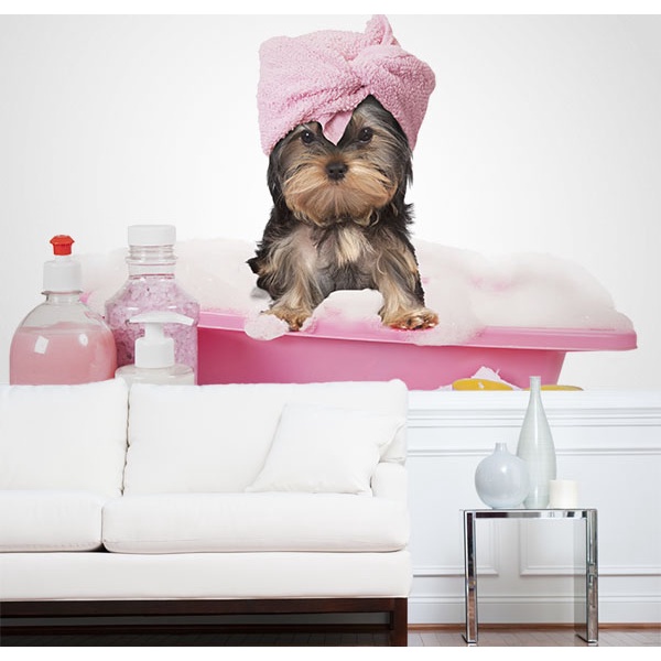 papel de parede para pet shop