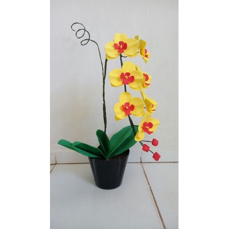 Orquídea Phalaenopsis Amarela | Shopee Brasil