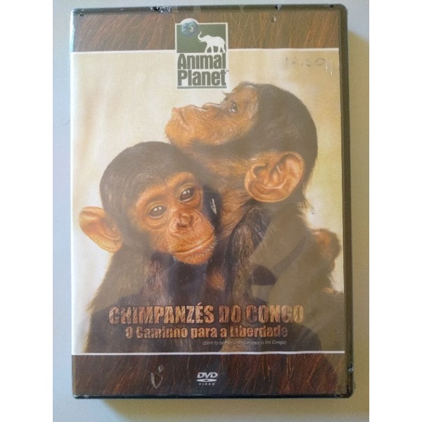 DVD Original Novo Lacrado Chimpanzés do Congo: Animal Planet
