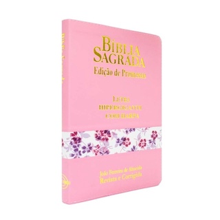 Bíblia Sagrada Letra Hipergigante feminina Com Harpa Média Zíper Rosa Claro