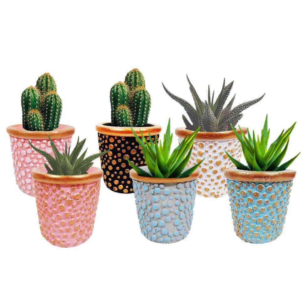 Vaso Vasinho Cachepot Para Mudas de Plantas Suculentas e Cactos Rose Gold ou Dourado Bolinhas Poá