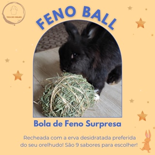 Feno Ball - Bola recheada com erva desidratada preferida do seu coelho e/ou roedor em Oferta na Shopee