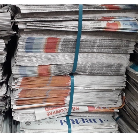 JORNAL NOVO , Limpo, S/ USO ,  Classe "B" (Descrição) - Econômico, Calopsita, Pet, Cão, Gato, Gaiola