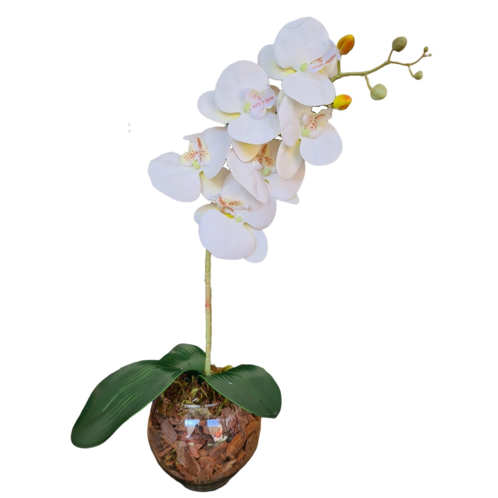 Orquídea Artificial Decorativa Branca de Silicone e Seda Com Vaso de Vidro  Oval Para Decorar Centro de Mesa | Shopee Brasil