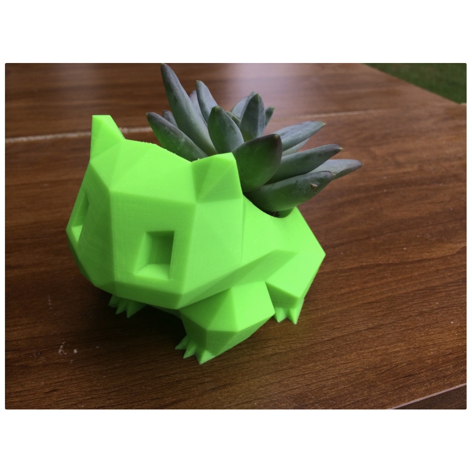 Vaso Suculenta Bulbasaur