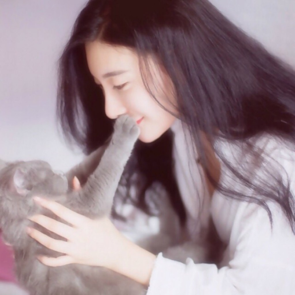 VBS Casa e Decoração