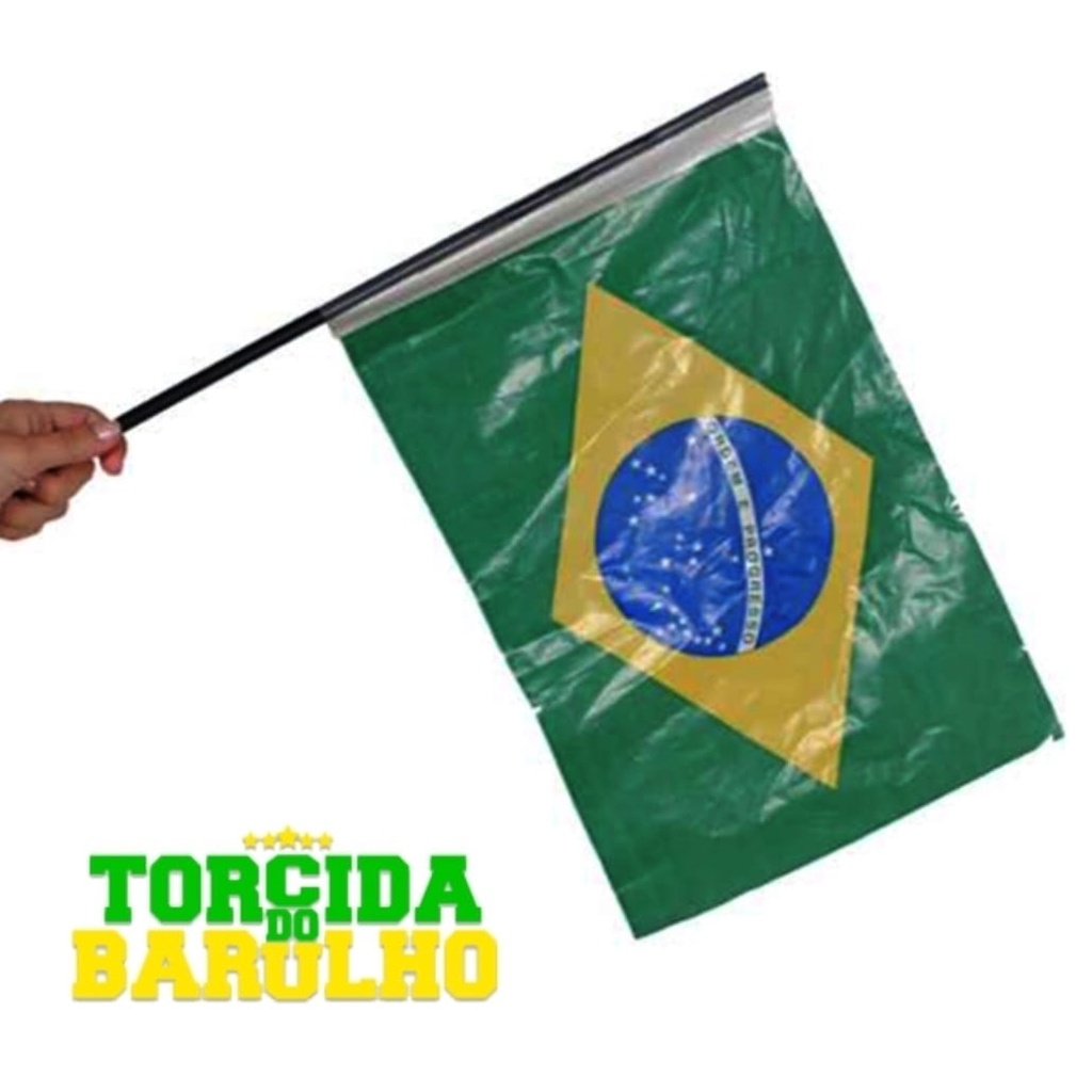 60 Bandeiras Do Brasil 53x34,8cm Plástico Com Cabo 60cm - Real Seda - Copa do Mundo Festas Patriotas