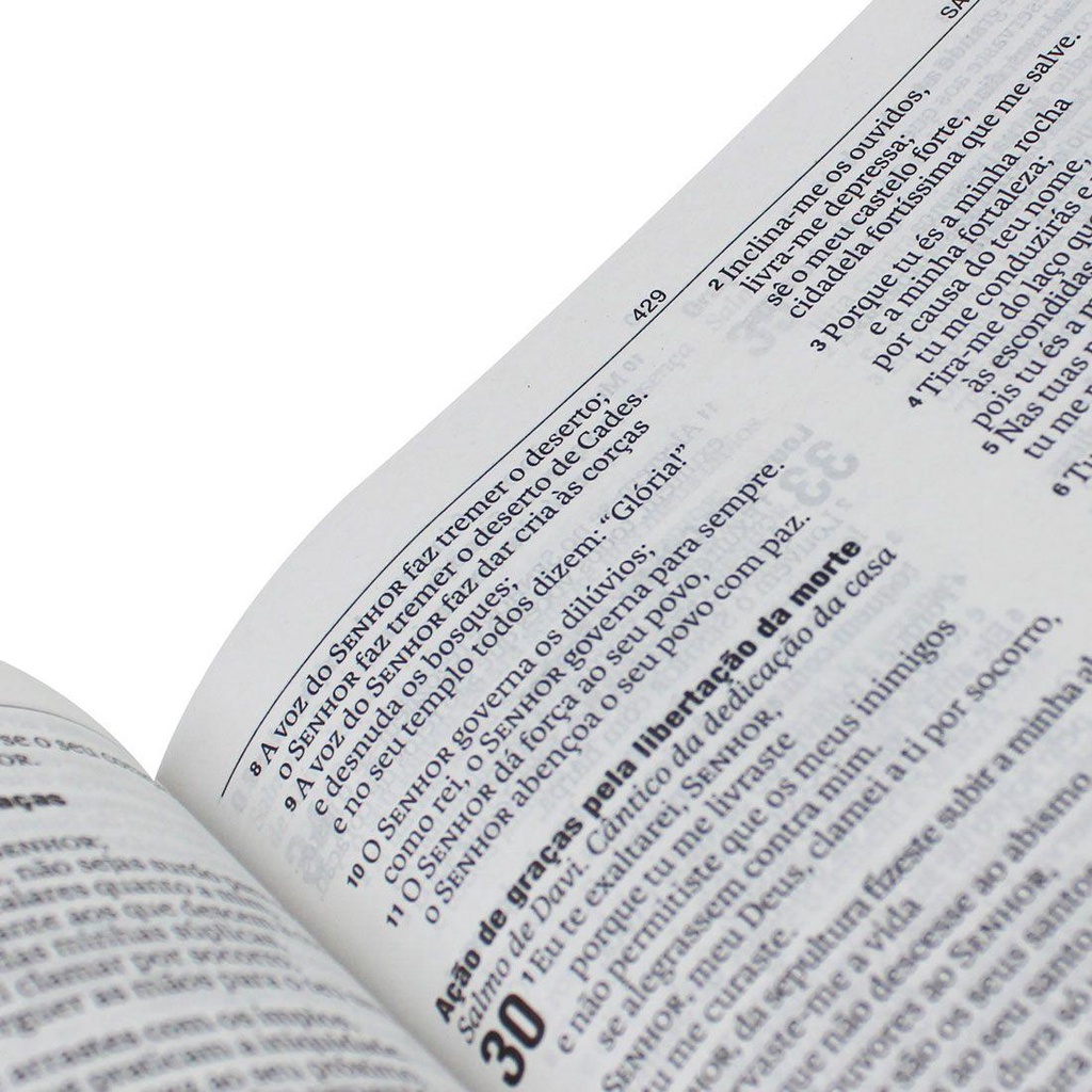 Detalhes do Bíblia Sagrada Slim NAA com Letra Normal - Preta