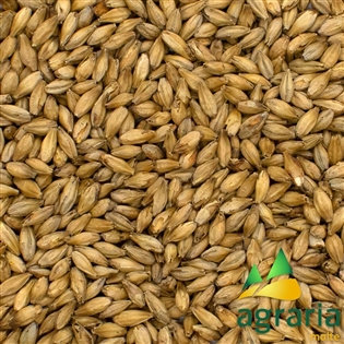 Malte Agraria Viena - 1kg