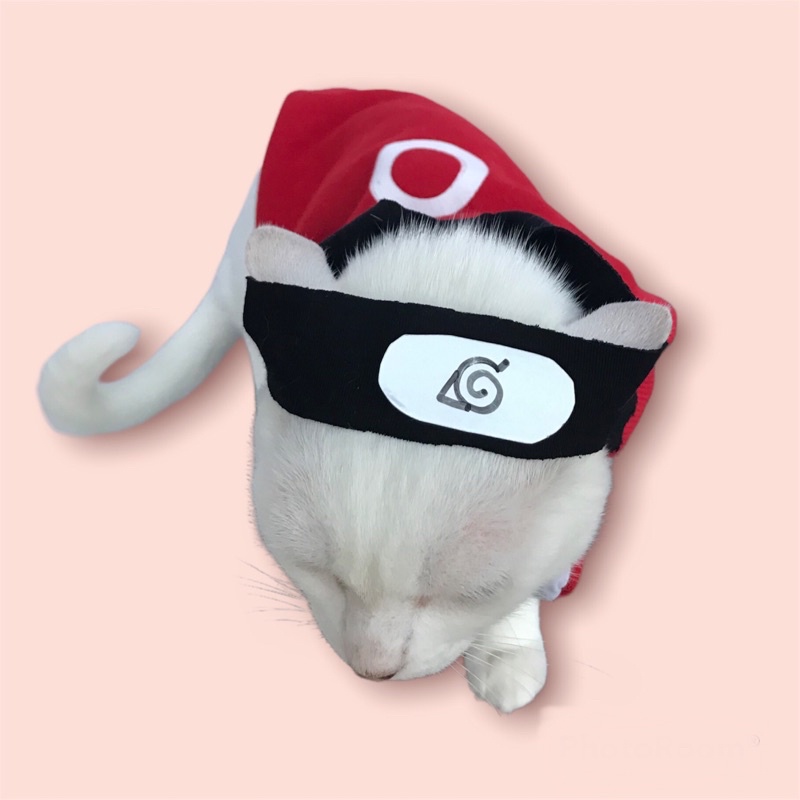 Sakura roupa pet naruto roupinha de cachorro fêmea pequeno médios gatos