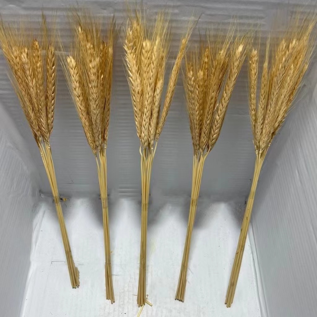 Ramo de Trigo 10 galhos ( kit com 2 em Oferta na Shopee