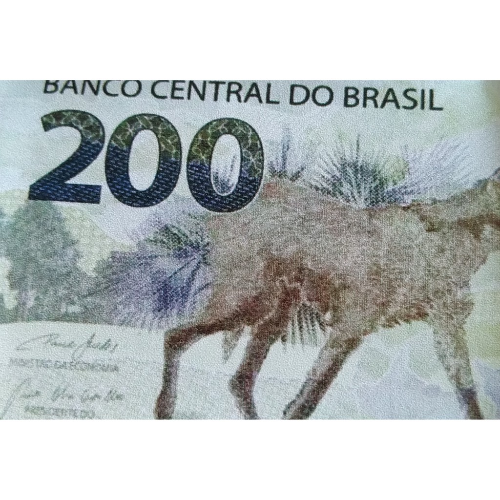 22 Avril 1500 - Pedro Alvares Cabral Découvre Officiellement Le Brésil - Foto 7