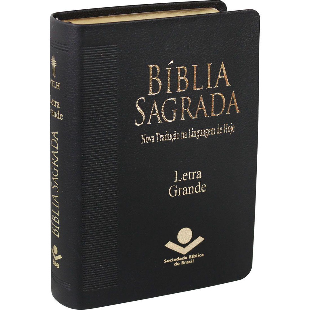 Bíblia Sagrada NTLH Pequena com Letra Grande - Preta Luxo em Oferta na Shopee