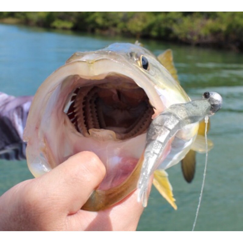 jig head kit 5 jig  + boia anzol e chumbo e surpresa , anzol altamente afiado , resistente