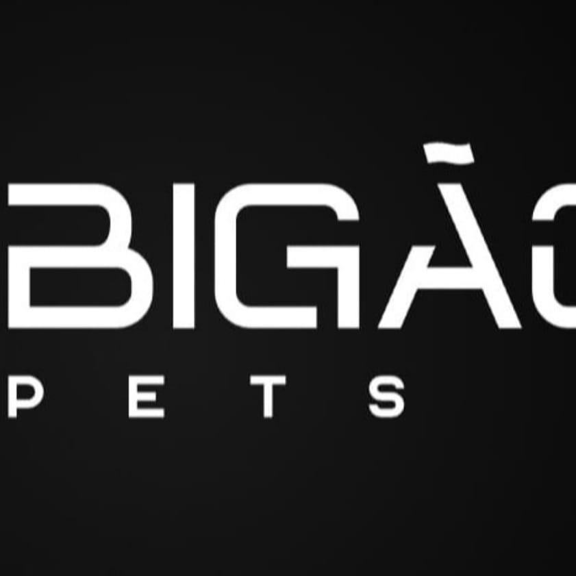 BigãoPets2.0
