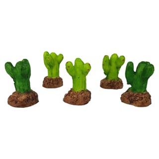 Cacto Miniatura Pct C/ 5 Pcs em Oferta na Shopee