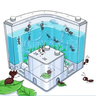 Brinquedo Educativo Caixa De Presente Castelo Terrário Formiga Observed em Oferta na Shopee