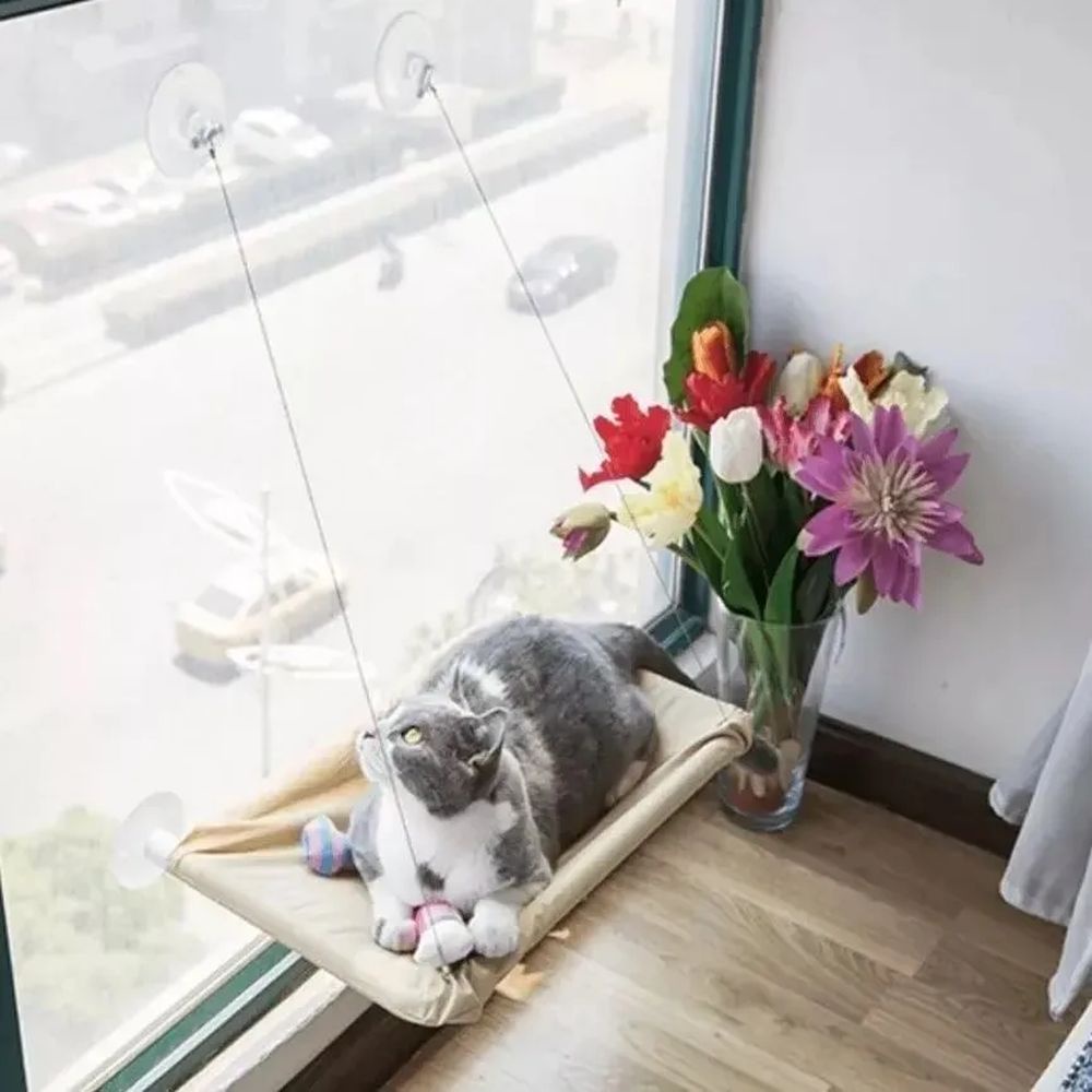 Cama de gato com ventosa para pendurar em janelas caminha em Oferta na Shopee