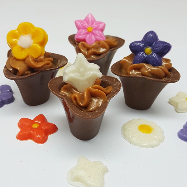 Forma Simples Aplique Flores 9704 (J8) em Acetato BWB Para Bombom e Doces  de Chocolate e Confeitaria | Shopee Brasil