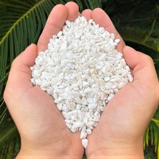 O que é Vasinhos de Plantas Pequenos? Guia e Onde Comprar | BuscaProdutos