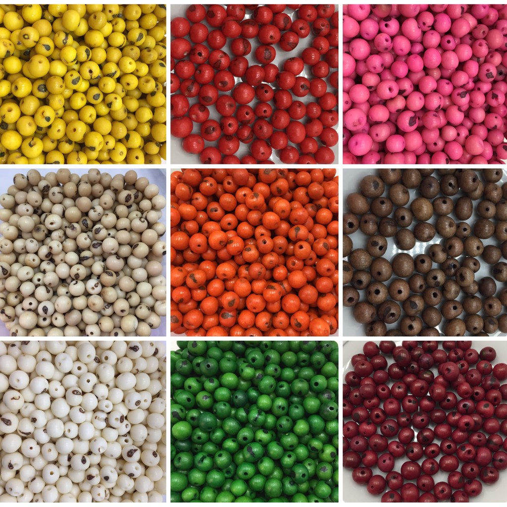 Semente de Açaí Natural 100 Unidades em Oferta na Shopee