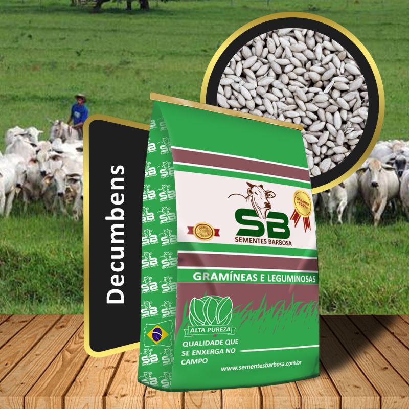 Sementes Brachiaria Decumbens 10kg incrustada Braquiarinha revestida