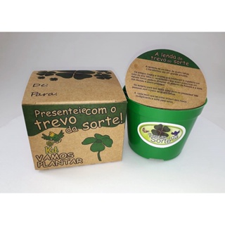 Mini Kit Vamos Plantar semente de Trevo de 4 folhas em Oferta na Shopee