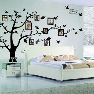 Adesivo de Parede Vinil Arvore Genealogica em Oferta na Shopee